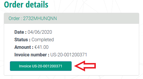 https://kasperskynxw.zendesk.com/hc/article_attachments/360013095959/invoice_en.png